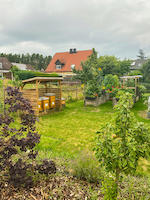 250729_Blumenschmuck-2